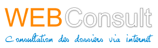 logo web-consult